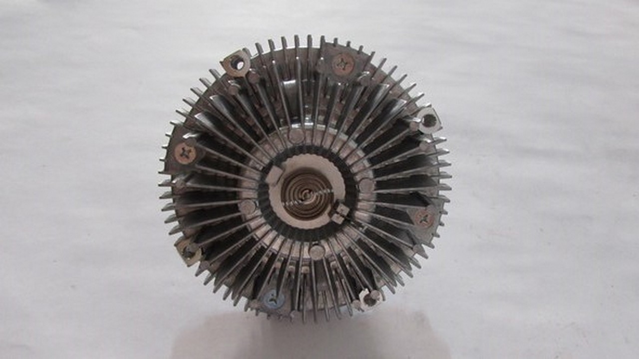 FAN TERMIGI
