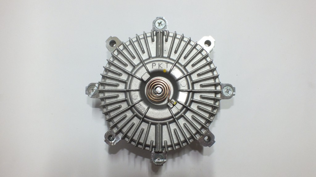 FAN TERMIGI