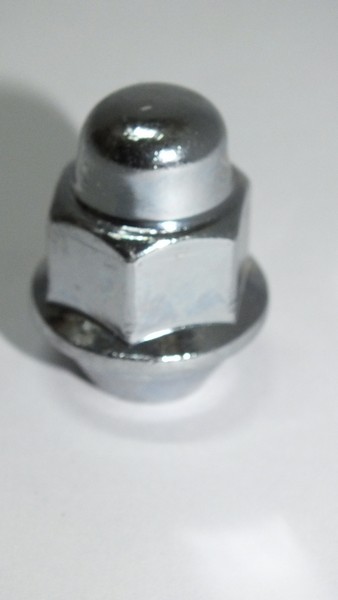 BIJON SOMUNU
