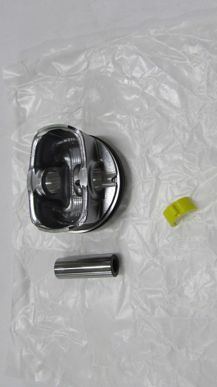 PISTON SEGMAN 050