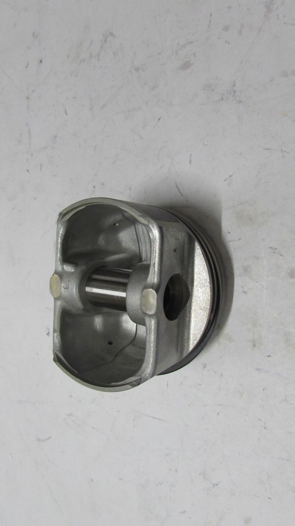 PISTON + SEGMAN 050