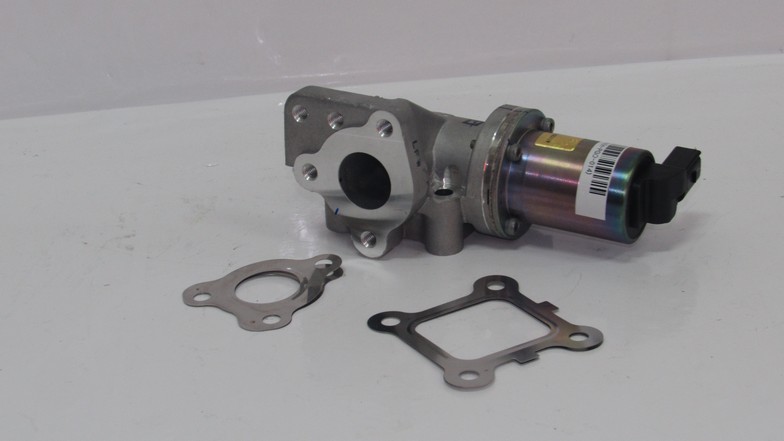 EGR VALFI