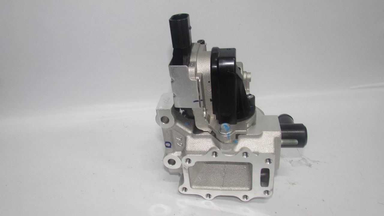 EGR VALFI