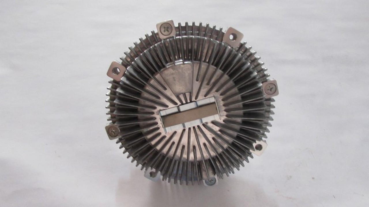 FAN TERMIGI